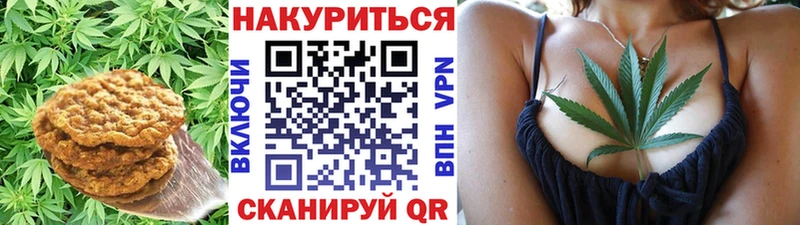 купить наркоту  Зеленогорск  Печенье с ТГК конопля 