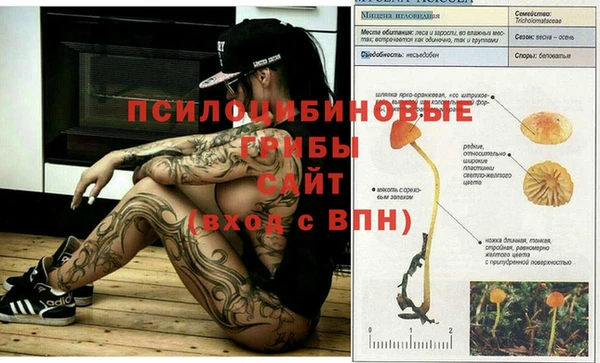 MESCALINE Дмитров