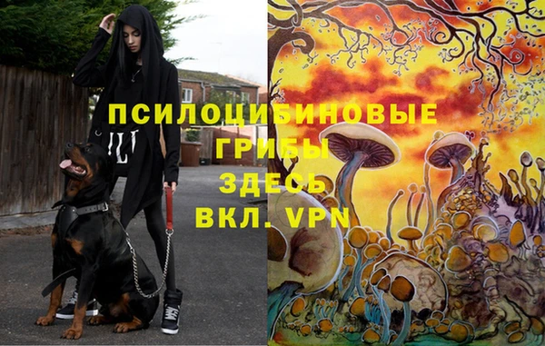 мефедрон мука Дмитриев