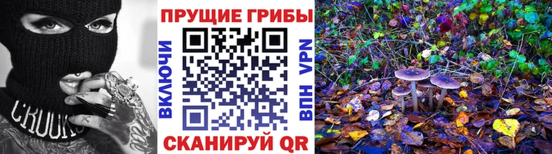 купить закладку  Зеленогорск  Галлюциногенные грибы Magic Shrooms 