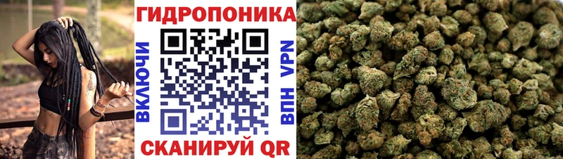 KRAKEN ТОР Зеленогорск Шишки марихуана тримм